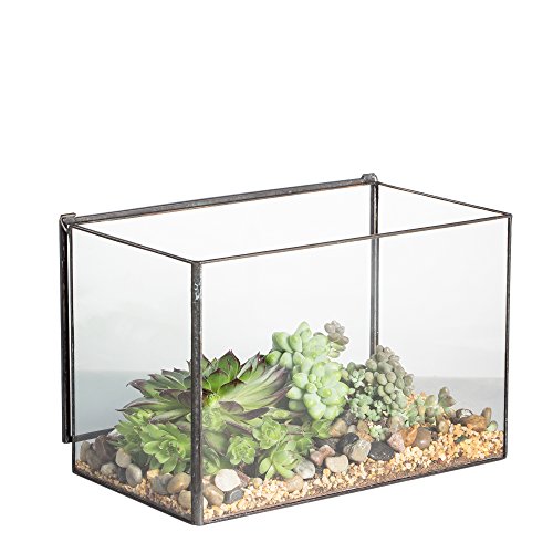 Small Glass Terrarium Planter with Lid (Black / 17x10x12cm)