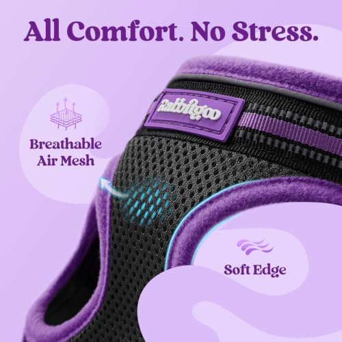 Cat Harness and Leash Set (S / Black & Purple)