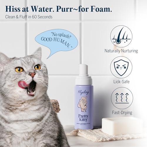 Pretty Kitty Waterless Cat Dry Shampoo with Grooming Glove (Shampoo Kit for Right-Handed)