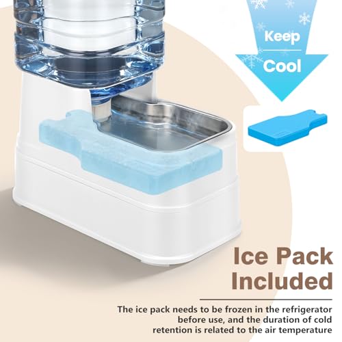 1.6 Gallon Pet Automatic Dog Water Dispenser Cat Gravity Waterer Feeder with Stainless Steel Bowl 8L Large Capacity Puppy Feeding Raised Bowls with Filter (White / 6L(1.6 Gallon))