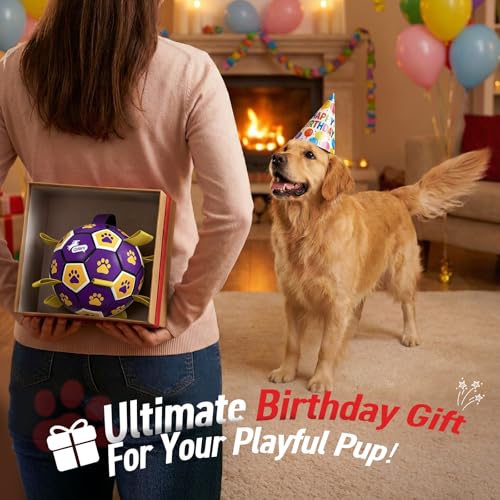 Dog Ropes Toys (Purple Yellow / 8 Inch)