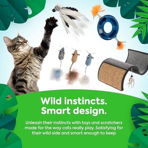Dream Curl Carpet Cat Scratcher (One Size)