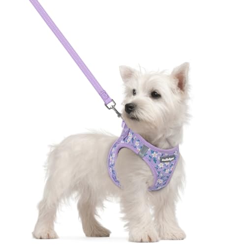 Dog Harness Small Sized and Leash Set (Lavender Floral / S (chest: 15.1 - 16.5"))