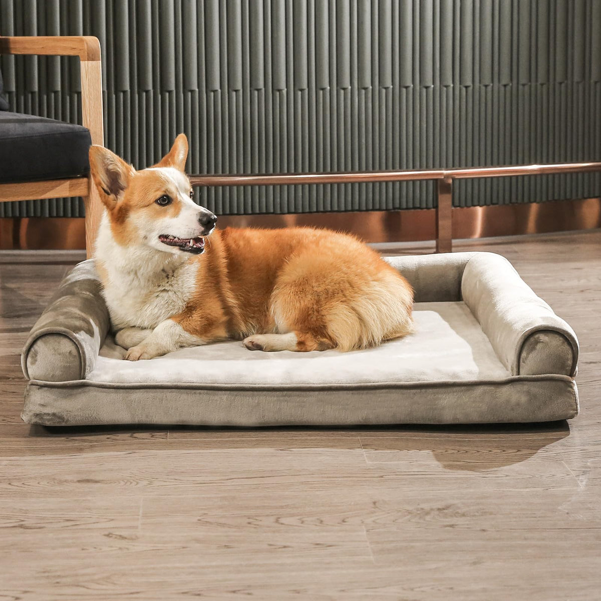 Dog Bed with Premium Foam (Sofa-Style Bed / Large / Taupe)