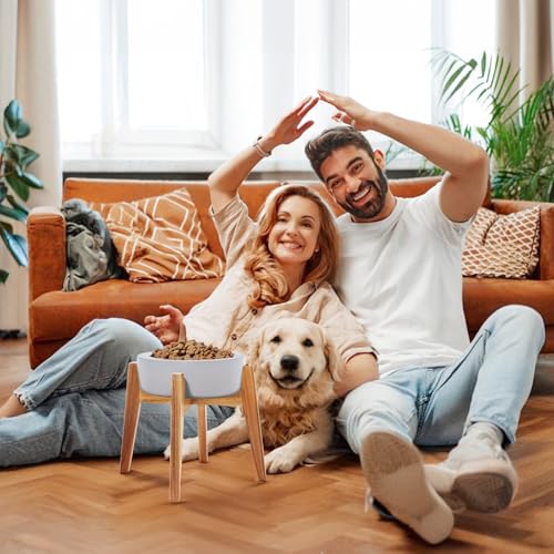 Elevated Dog Bowl Stand for Large Dogs (XLarge - 1 Pack)