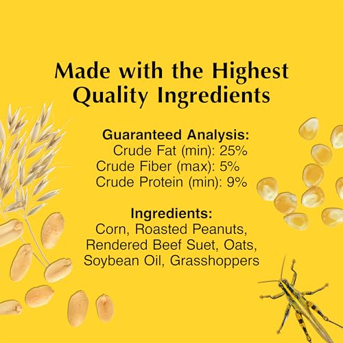 Insect Delight No Melt Suet Dough (1.47 Ounce (Pack of 8) / Insect, 8 Pack)