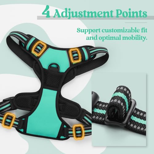 Dog Harness No Pull for Large Dogs with 2 Leash Clips (X-Large / Turquoise)