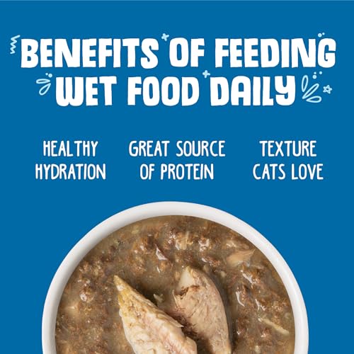 Classic Cat Food (3 Ounce (Pack of 24))