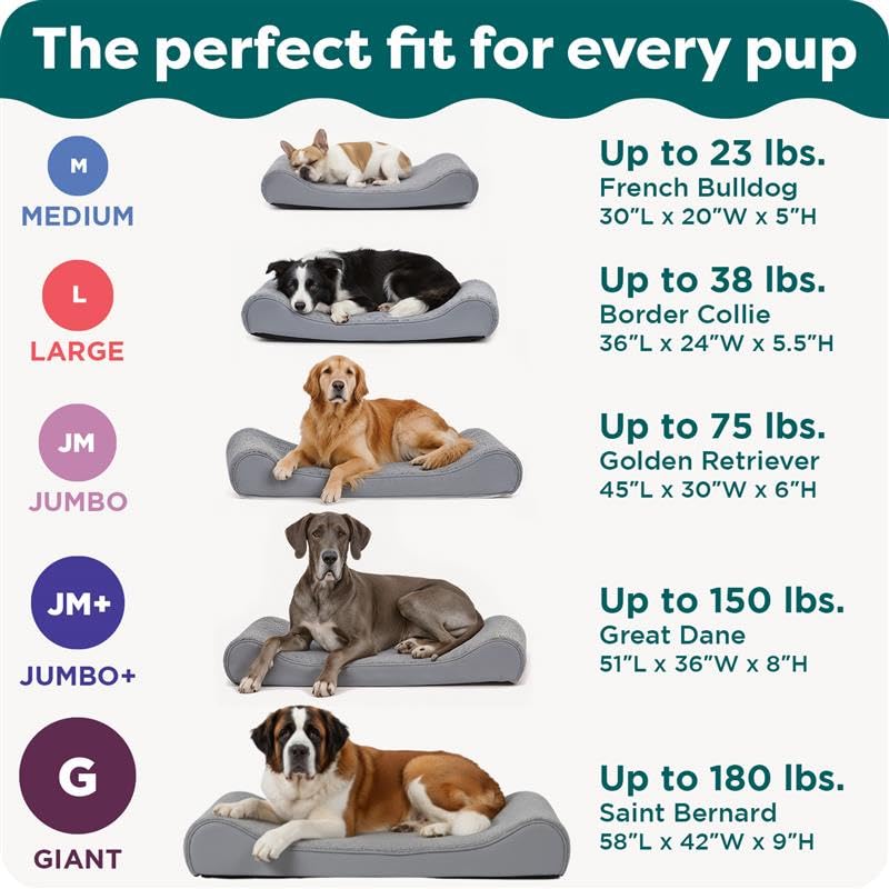 Orthopedic Dog Bed for Large Dogs (Jumbo Plus/XXL / Cream)