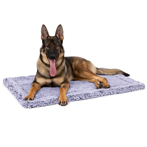 Stoutwool Indestructible Dog Bed (47.0"L x 29.0"W x 2"Th / Jacaranda)