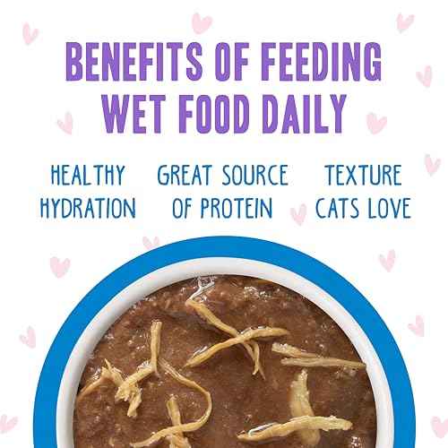 B.F.F. OMG Best Feline Friend Oh My Gravy! (2.8 Ounce (Pack of 12))