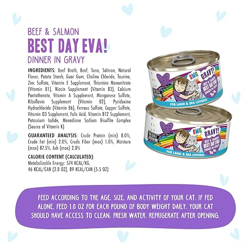 B.F.F. OMG Best Feline Friend Oh My Gravy! (5.5 Ounce (Pack of 8))