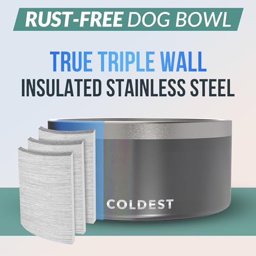 Coldest Dog Bowl (200 oz / Stardust Glitter)