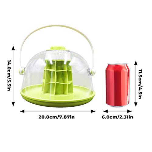 Round Transparent Snail Terrarium Kit