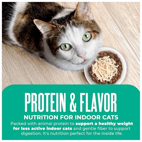 Tiki Cat Born Carnivore Dry Cat Food (17 Pound (Pack of 1))