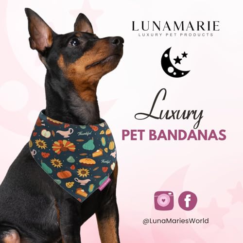 Luxury Pet Birthday Bandanas (Thanksgiving / X-Small)