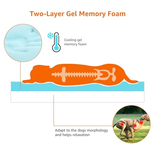 Washable Dog Bed with Cooling Gel Memory Foam (Mattress Bed / Giant / Grey)