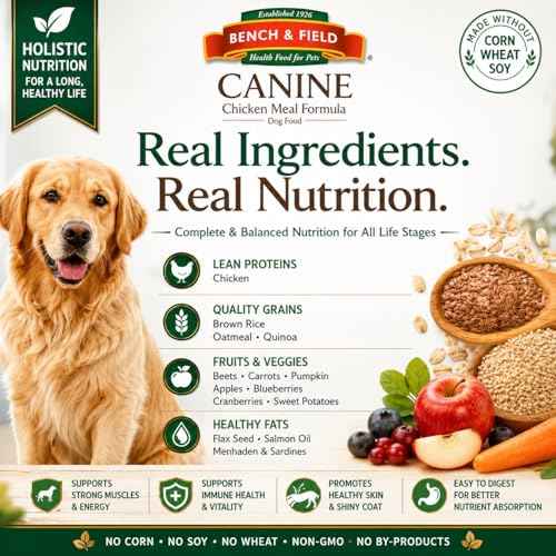 Holistic Premium Dry Dog Food (6.6 Pound (Pack of 3))
