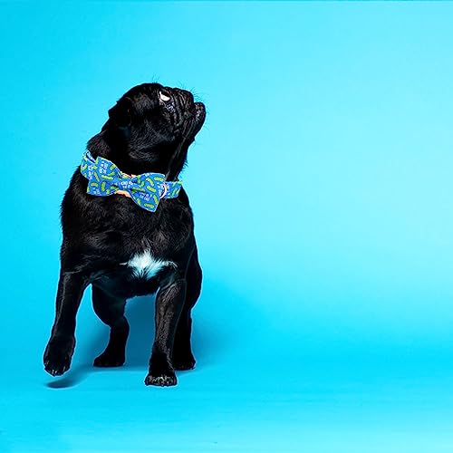 Dog Collar with Bow Tie (Dill Pickles / Small (Pack of 1))