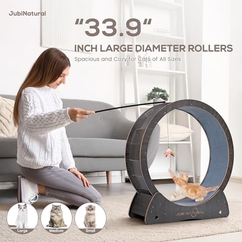 33.9" Cat Wheel for Indoor Cats (BLACK / 33.9")