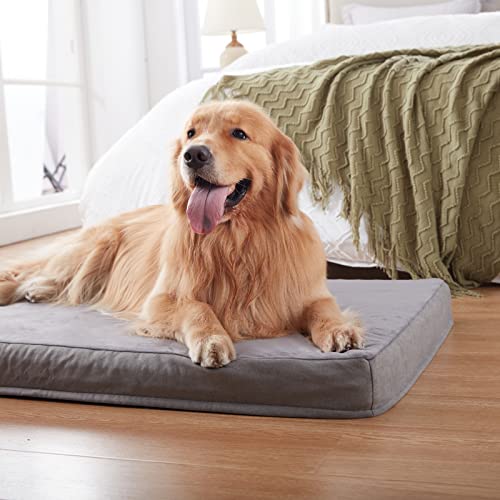 Orthopedic Memory Foam Dog Bed (Short Plush / Large-35"x 22" x 3")