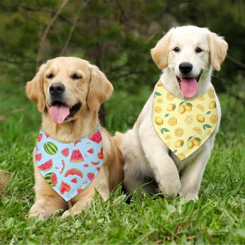 2 Pack Summer Dog Bandanas (G)