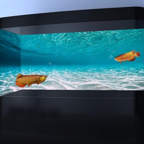 48X24IN Natural Undersea Aquarium Background (Sea / 48X24in/120X60cm)
