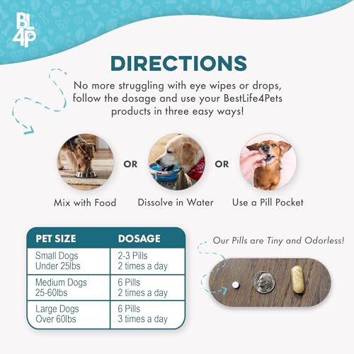 Dog Eye Infection & Eye Care Support Supplements