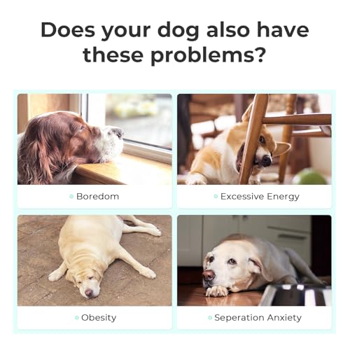 Interactive Dog Toys (Small)