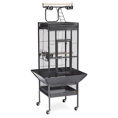 Wrought Iron Select Bird Cage (Black Hammertone / 18.0"L x 18.0"W x 57.0"H)