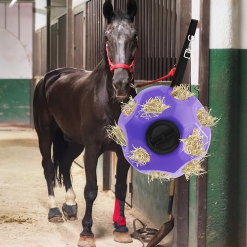 15.75" Extra Large Slow Feed Hay Ball for Horses (Purple)