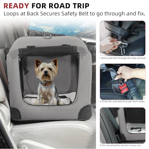 Large Cat Carrier for 2 Cats (Grey / 24.0"L x 17.0"W x 17.0"H)