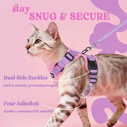 Cat Harness and Leash Set (Xs / Pink & Light Purple)