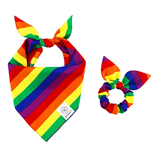 Pride Rainbow Dog Bandana Matching Dog Bandana and Scrunchie Large (rainbow / Large-set of 1)