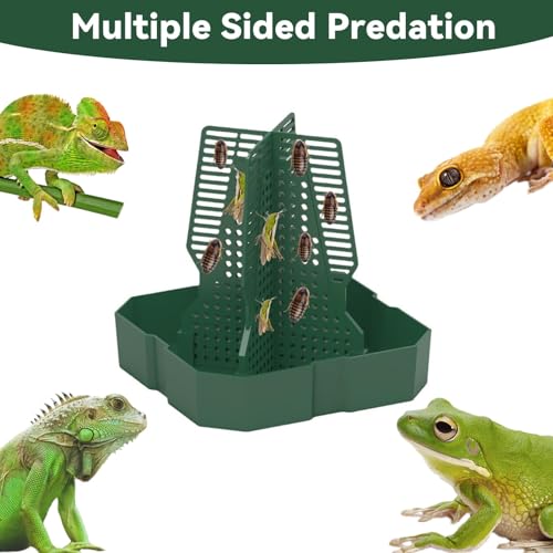 Chameleon Feeder Bearded Dragon Feeder for Mounted Insect（Large） (Large)