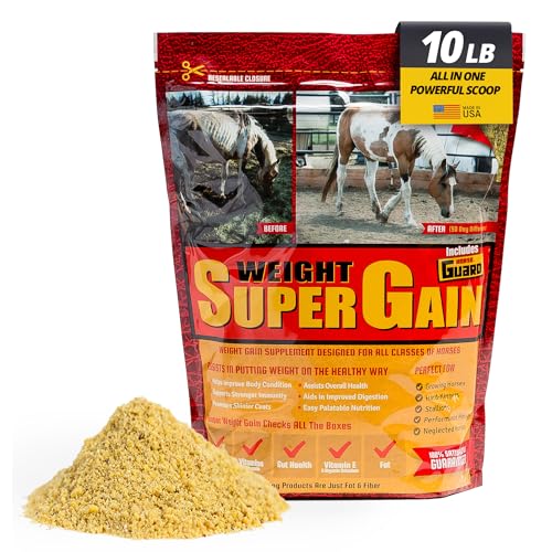 Super Weight Gain 10 lb (10 Pounds)