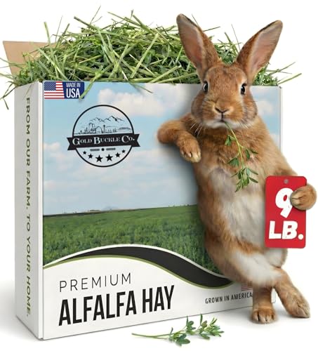 Premium Alfalfa Hay for Rabbits & Guinea Pigs (9 Pound (Pack of 1))