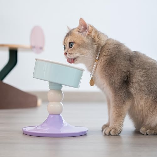 Ceramic Elevated Raised Cat Bowls (Lavender & Mint)