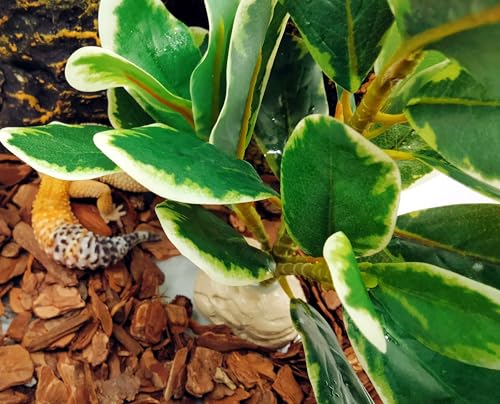 Reptile Plants Terrarium Decor (White and Green)