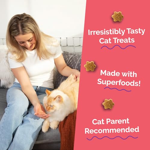 Crunchy Cat Treats (2.5 Ounce (Pack of 1) / Salmon & Cranberry)