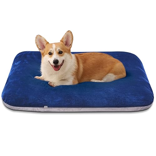 Super Soft Medium Dog Bed (32.0"L x 24.0"W x 3.0"Th / Blue)