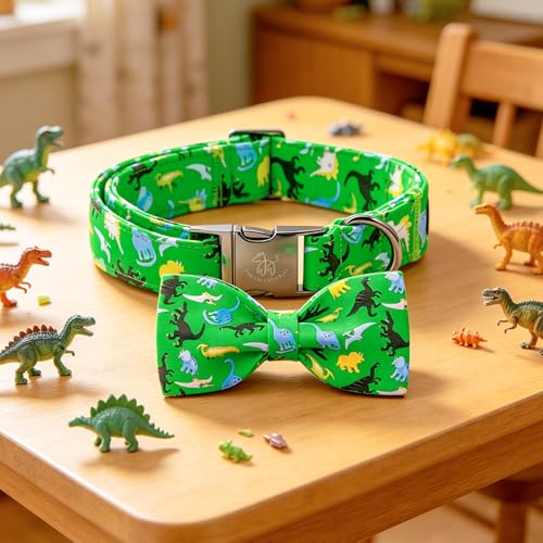 Boy Dog Collar (Green Dinosaur / Small (Pack of 1))