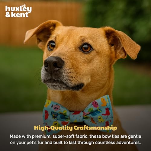 Pet Bow Tie for Dogs & Cats (Small)