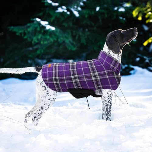 Waterproof Dog Coat (Purple / Small (Pack of 1))