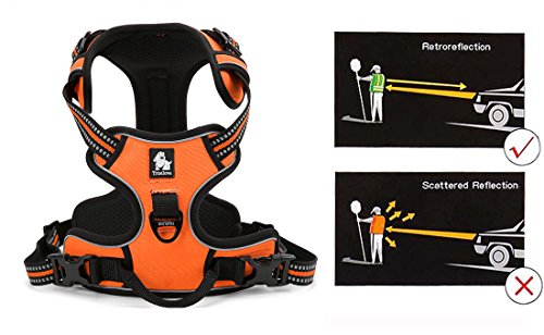 Truelove No Pull Dog Harness with Easy Control Handle and 2 Leash Attachments (Medium / Orange)
