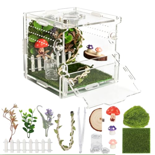 Jumping Spider Enclosure Kit 14 (Green-Scandi style)
