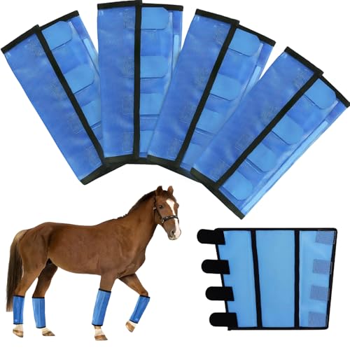 Mesh Horse Fly Boots Set of 4 (Blue)