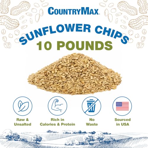 Shelled Sunflower Chips 10 lb (Sunflower - Medium Chips / 10 Pound (Pack of 1))