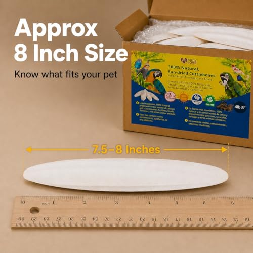 7.5 8" Cuttlebones for Birds