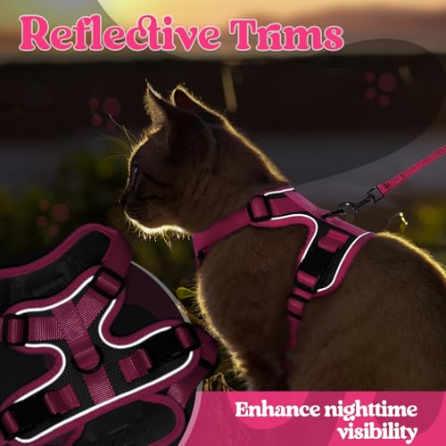 Cat Harness and Leash Set (Black & Rose Pink / S)